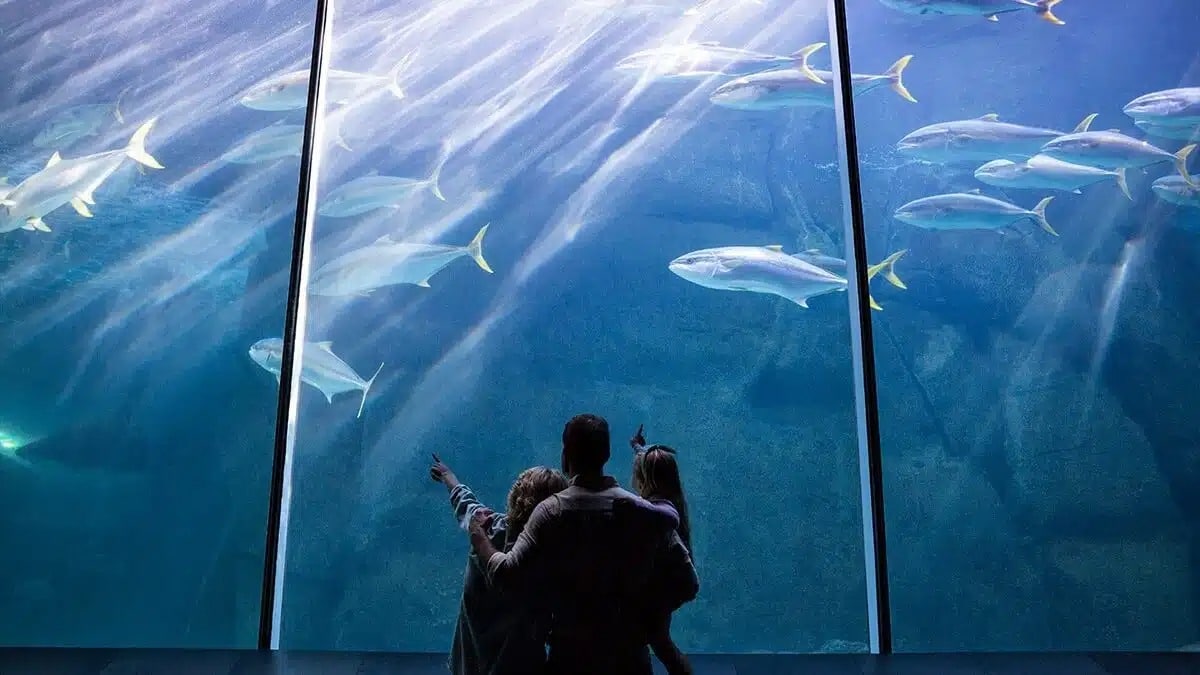 aquarium marseille gv