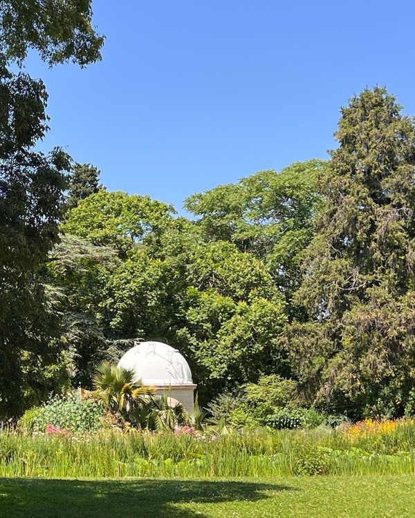 Le jardin des Plantes, une pause à l'ombre des grands arbres Le jardin des Plantes, une pause à l'ombre des grands arbres