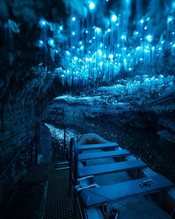 Waitomo, la nuit sous mille vers luisants Waitomo, la nuit sous mille vers luisants